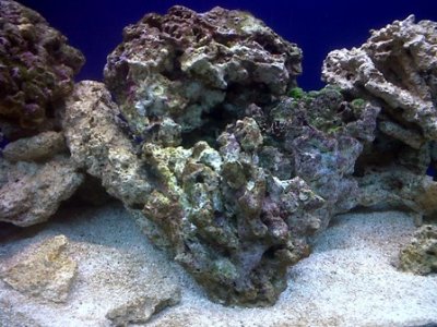 Center Front 6x4.jpg