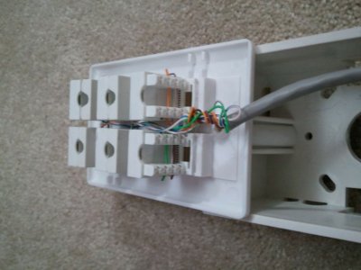 2010-12-29 18.36.29.jpg