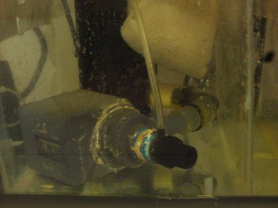 alcatraz 2011 046.jpg