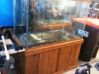 IMG_0205.JPG IMG_0205.JPG