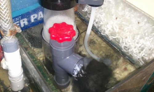 2011-01-119521.08.03 (1).jpg