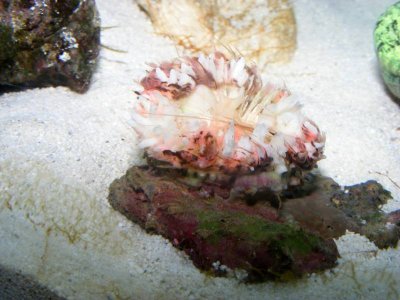 DSCF3009.jpg