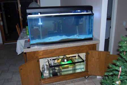 DSC_00720004.JPG