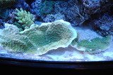 DSC_0086.jpg