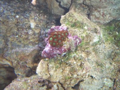 100_1711.jpg