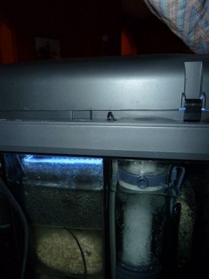k-P1000715.JPG