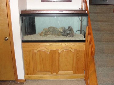 Resized Tank 5.JPG
