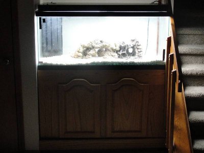 Resized Tank 1.JPG