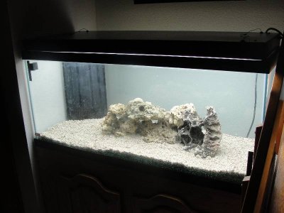 Resized Tank 2.JPG