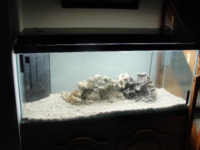 Resized Tank 3.JPG