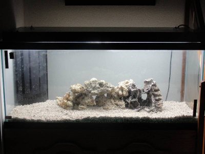 Resized Tank 4.JPG