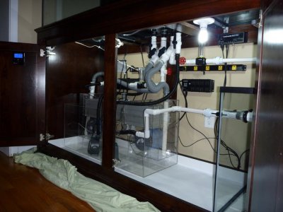 angled full view under tank.jpg