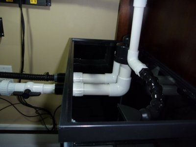 refugium plumbing.jpg