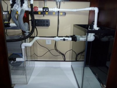 refugium to sump connection.jpg