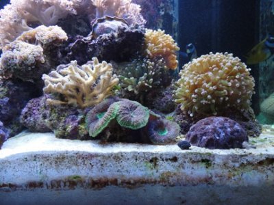 Tank Photo 4.jpg