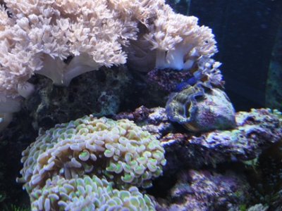 Tank Photo 7.jpg