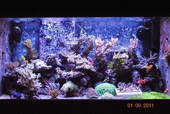DSC_0950.jpg