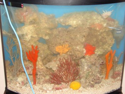 setup and acclimation1.jpg
