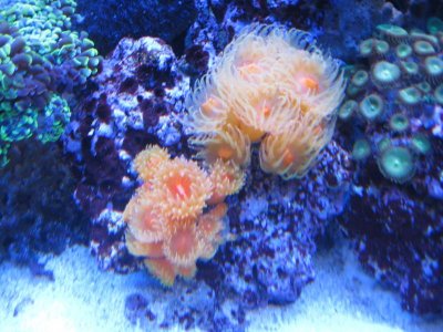 IMG_2753.jpg