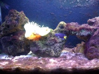 photo_1.JPG