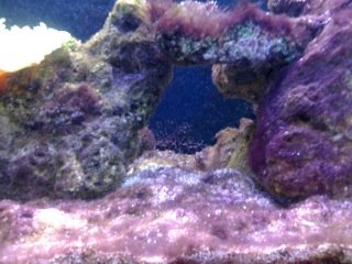 photo_2.JPG