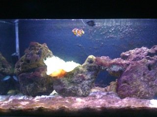 photo_3.JPG
