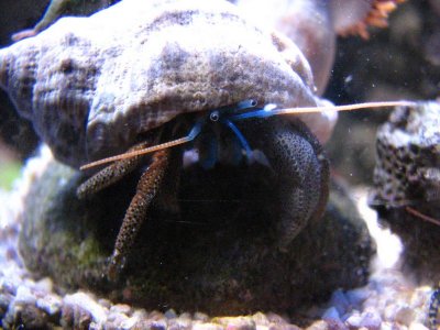 Einsiedler unbekannt (11).JPG