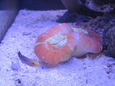 IMG_0457.JPG
