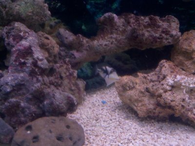 2011-01-18_19-54-57_645.jpg