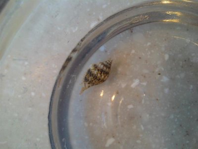 IMG_20110121_142824 (Medium).jpg