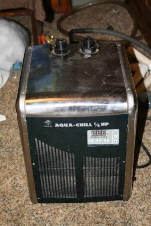 coralife 1.0.jpg