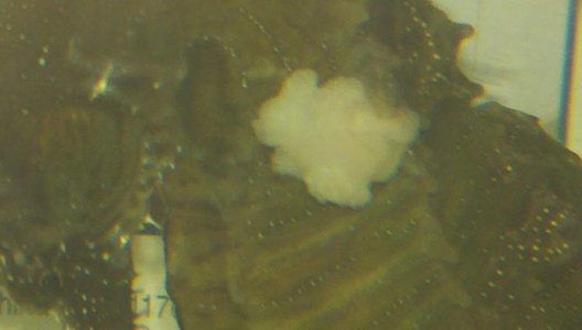 2011-02-10_23-39-10_185.jpg