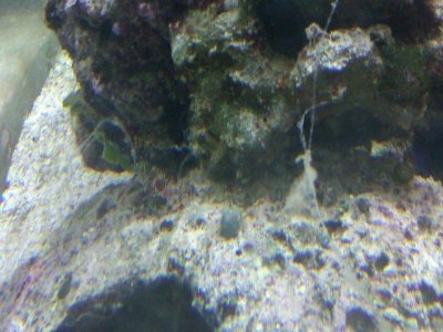 GBTA - 2011-02-11 - C - Small.jpg