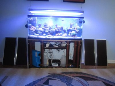 IMG_0426.jpg