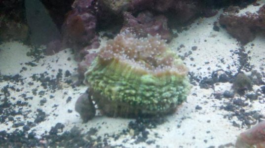 2011-02-11_21-59-02_760.jpg