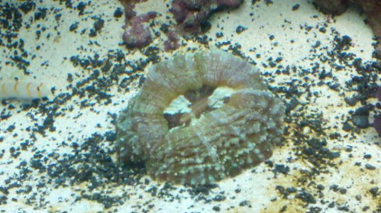 2011-02-12_14-00-45_158.jpg