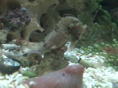 IMG00055.jpg
