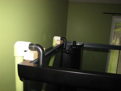 IMG_1779.jpg