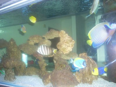 DSCN2011.jpg