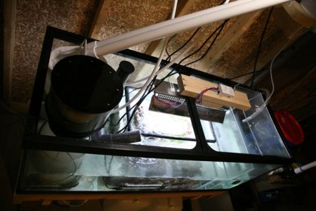 IMG_2125.jpg