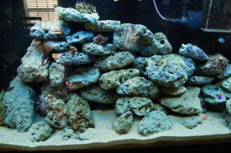 DSC_4911 (Medium).jpg