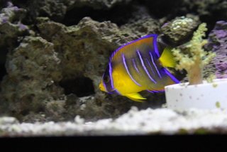 IMG_6286.JPG