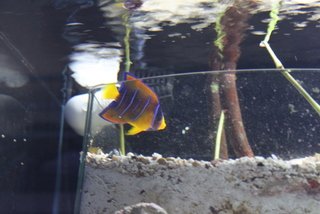 IMG_6289.JPG