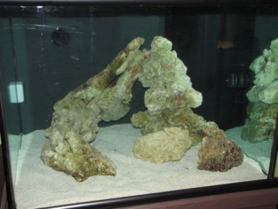 IMG_1855.jpg