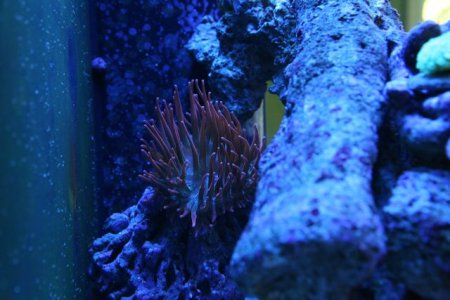 IMG_1676.jpg