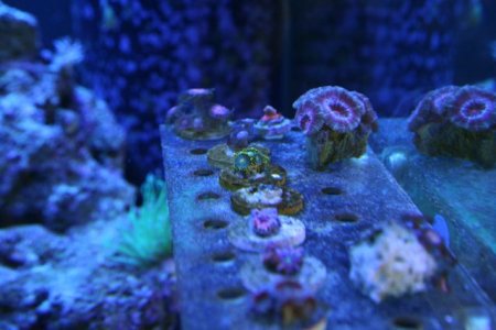 IMG_1679.jpg