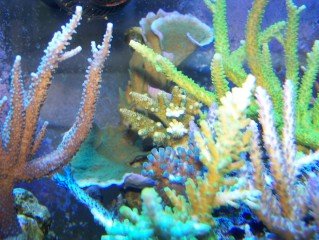 100_1091.jpg