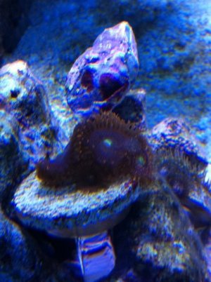IMG_2921.jpg