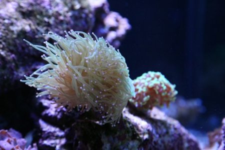 IMG_2012.jpg
