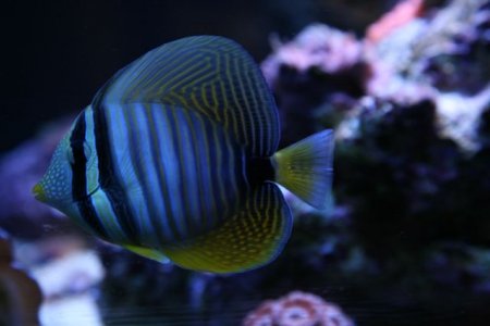 IMG_2024.jpg